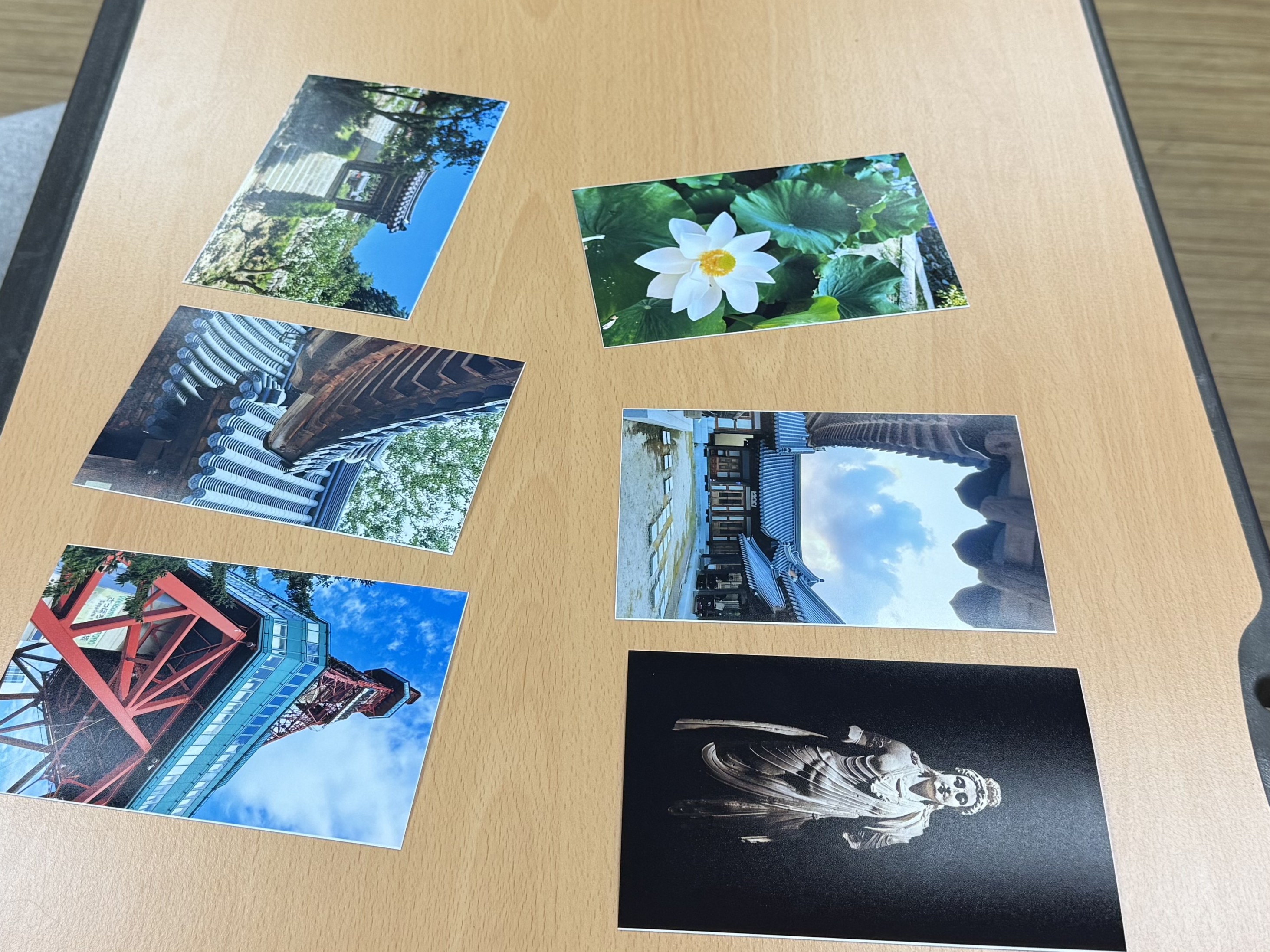 2025-2학기 RC 교육프로그램 스마트폰 사진 (6주차)