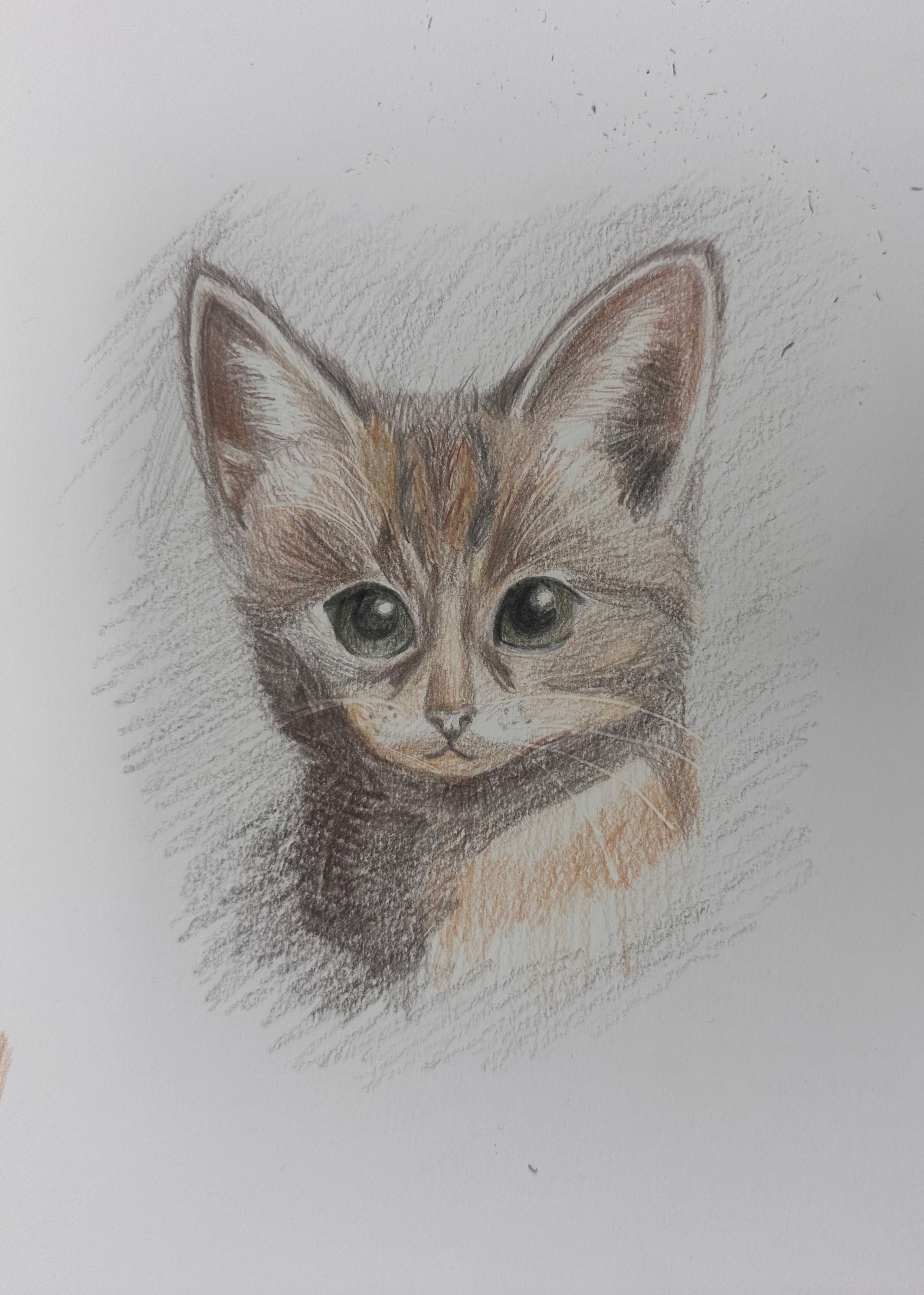 2025-2학기 RC 교육프로그램 일러스트기초 (8주차)