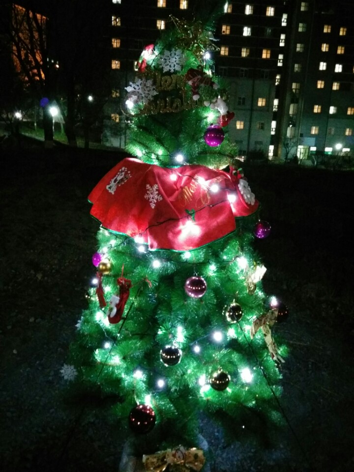 X-MAS 트리