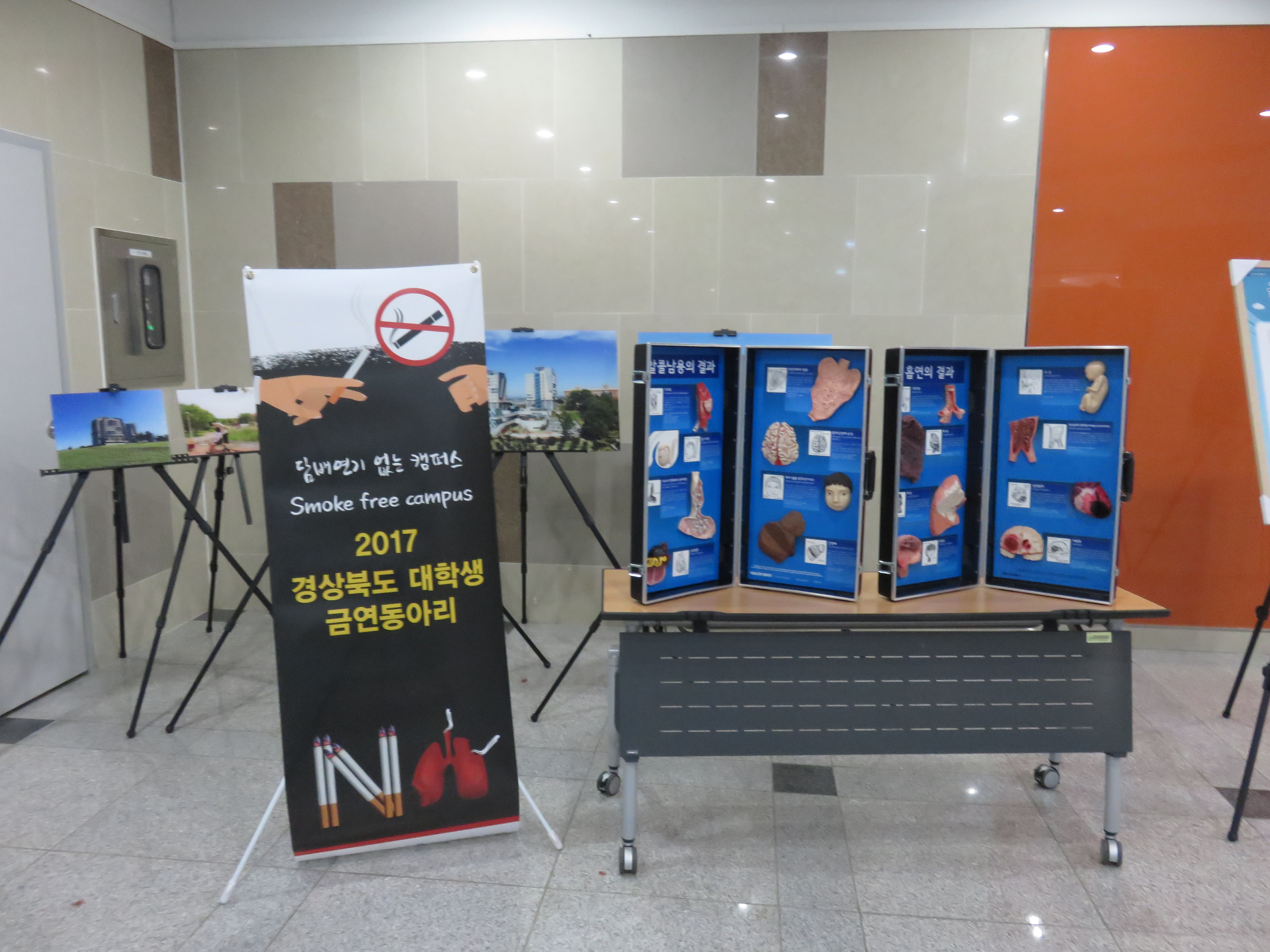 2017.11.15 장애학생을 위한 ‘환절기 건강관리‘ 교육